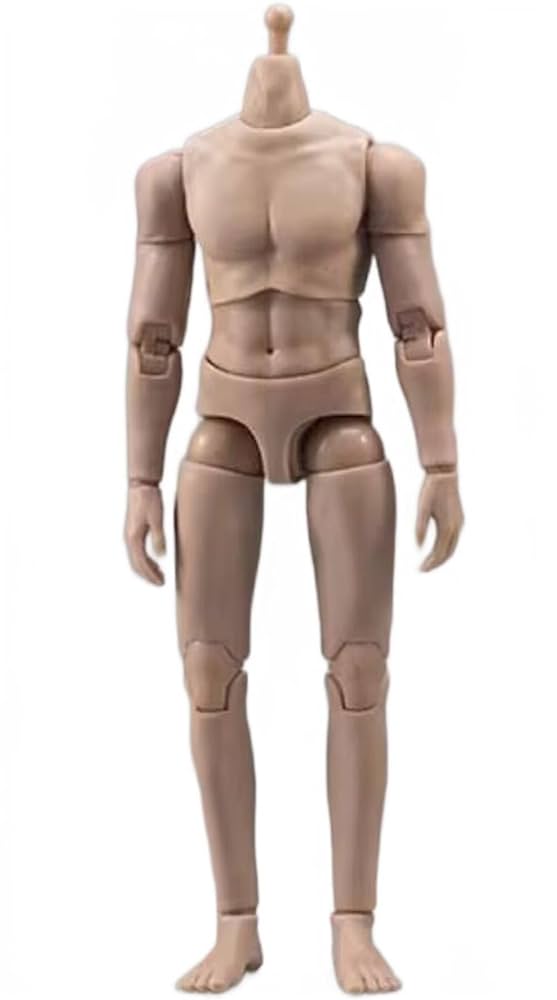 洋書 Male Bodies, Women's Souls Amazon.com: Male Bodies, Women's Souls (Human Sexuality